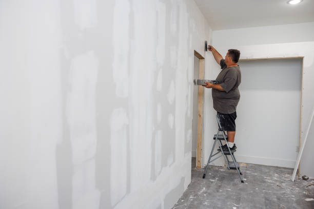 Best Post-Construction Mold Inspection  in Van Buren, AR